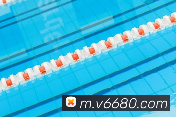 V66体育平台生态图