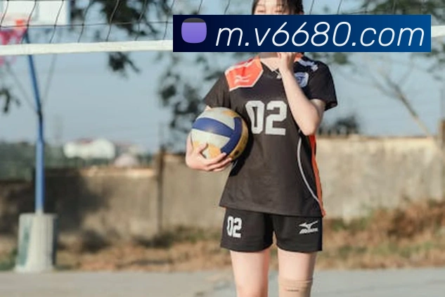 V66体育全站App